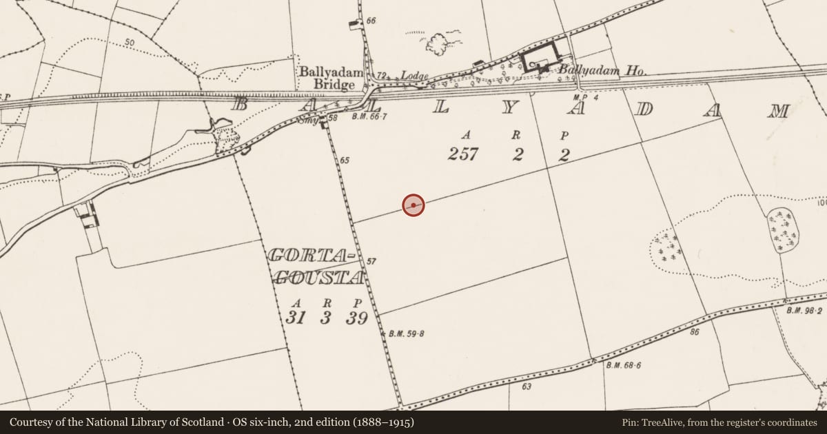 Ordnance Survey six-inch map, 2nd edition (1888–1915) covering the location of Fulacht fia, Ballyadam, County Cork, with a pin at the register's coordinates