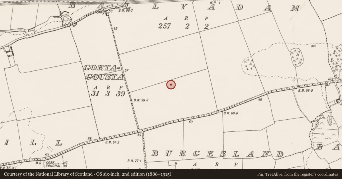Ordnance Survey six-inch map, 2nd edition (1888–1915) covering the location of Fulacht fia, Ballyadam, County Cork, with a pin at the register's coordinates
