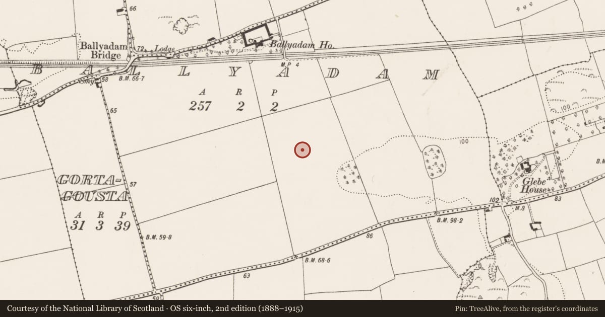 Ordnance Survey six-inch map, 2nd edition (1888–1915) covering the location of Burnt mound, Ballyadam, County Cork, with a pin at the register's coordinates