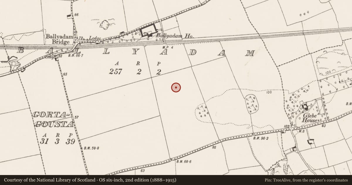 Ordnance Survey six-inch map, 2nd edition (1888–1915) covering the location of Fulacht fia, Ballyadam, County Cork, with a pin at the register's coordinates