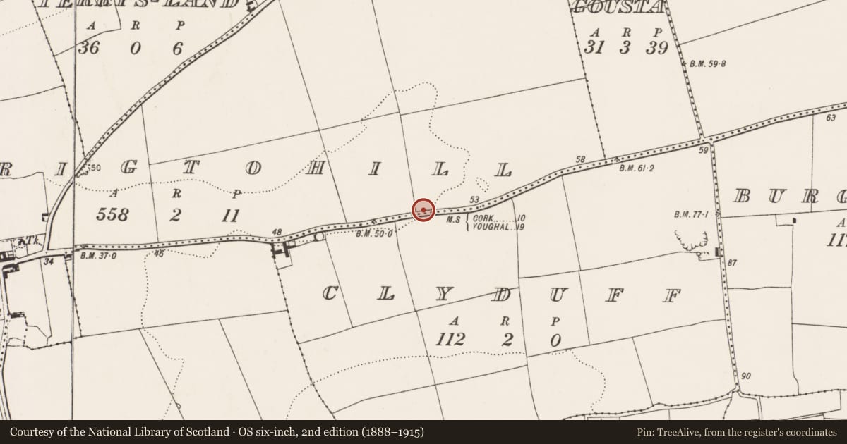 Ordnance Survey six-inch map, 2nd edition (1888–1915) covering the location of Fulacht fia, Carrigtohill, County Cork, with a pin at the register's coordinates