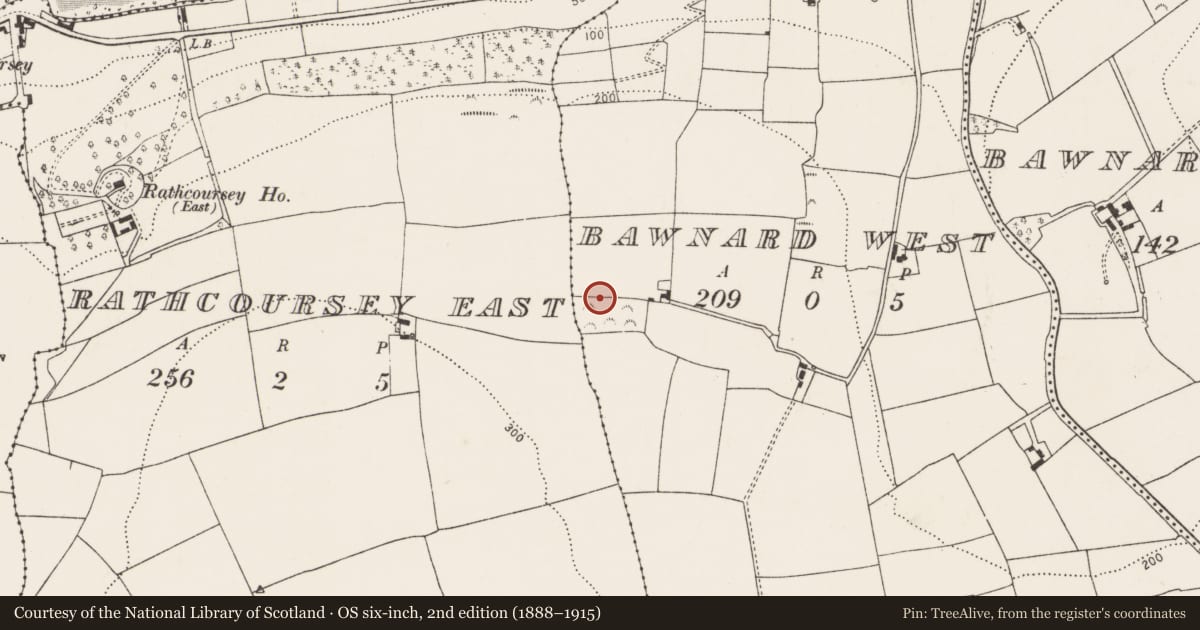Ordnance Survey six-inch map, 2nd edition (1888–1915) covering the location of Burnt mound, Bawnard West, County Cork, with a pin at the register's coordinates