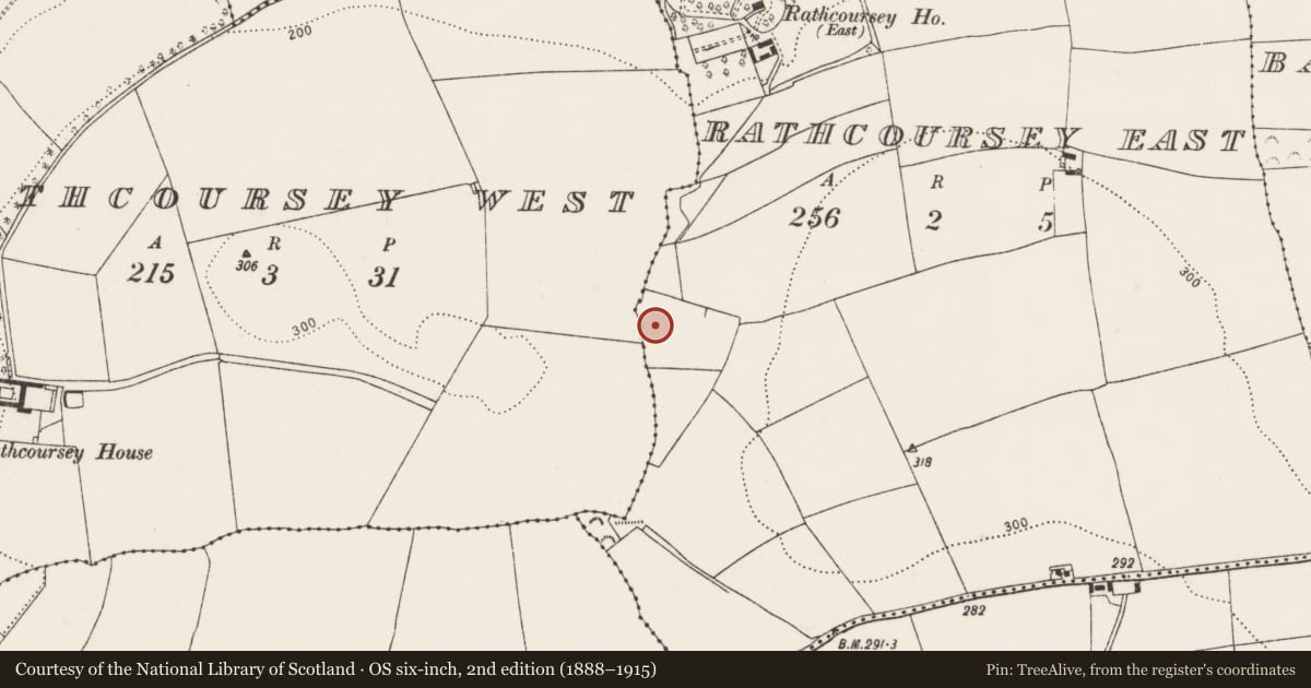Ordnance Survey six-inch map, 2nd edition (1888–1915) covering the location of Burnt mound, Rathcoursey East, County Cork, with a pin at the register's coordinates