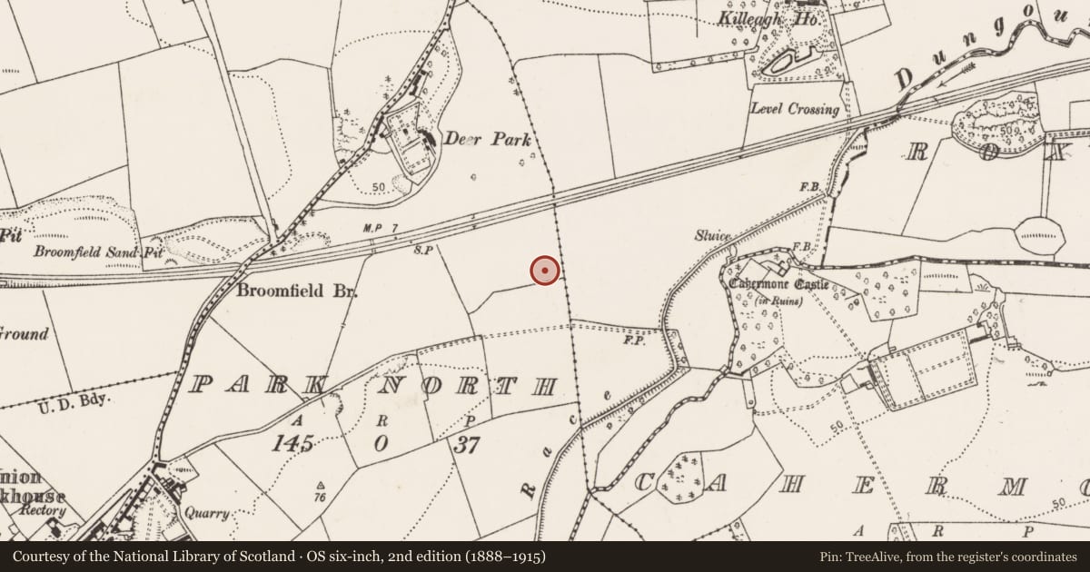 Ordnance Survey six-inch map, 2nd edition (1888–1915) covering the location of Burnt mound, Park North, County Cork, with a pin at the register's coordinates