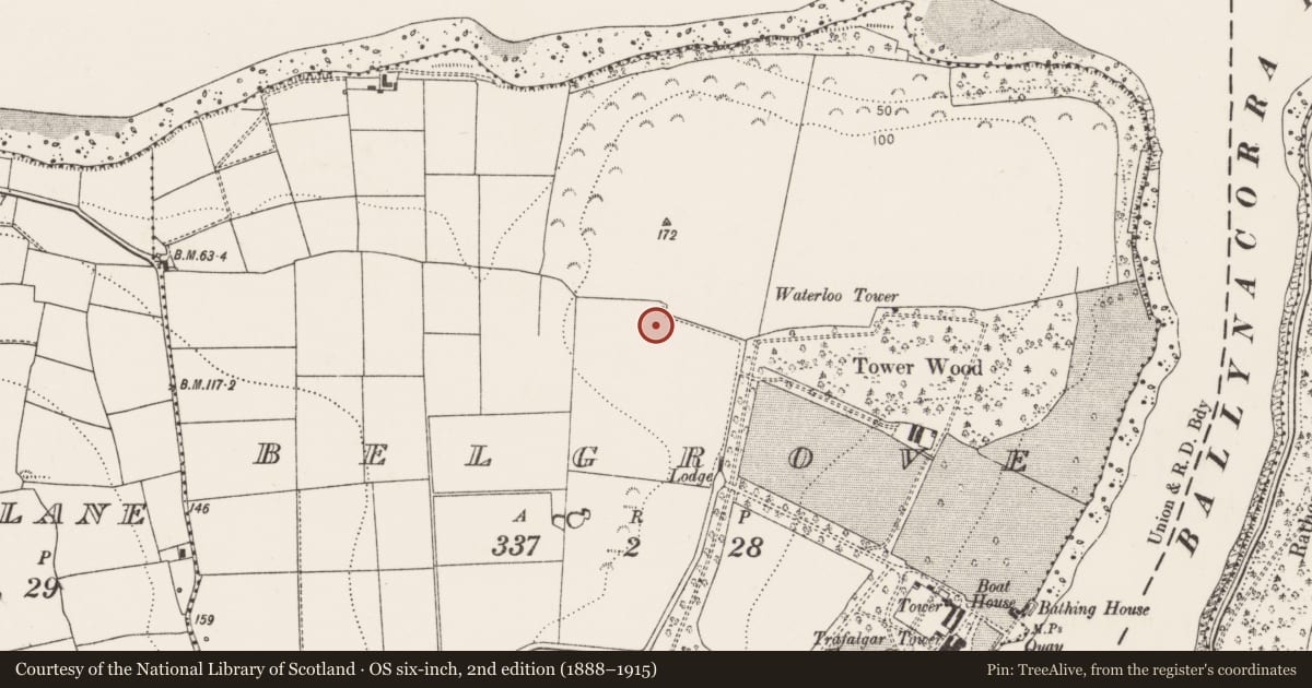 Ordnance Survey six-inch map, 2nd edition (1888–1915) covering the location of Fulacht fia, Belgrove, County Cork, with a pin at the register's coordinates