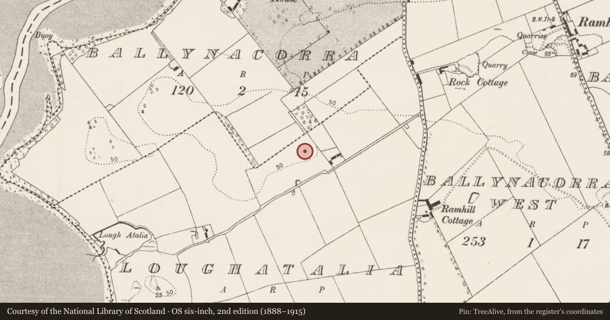 Ordnance Survey six-inch map, 2nd edition (1888–1915) covering the location of Enclosure, Loughatalia, County Cork, with a pin at the register's coordinates