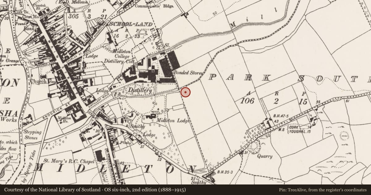 Ordnance Survey six-inch map, 2nd edition (1888–1915) covering the location of Burnt mound, Park South, County Cork, with a pin at the register's coordinates