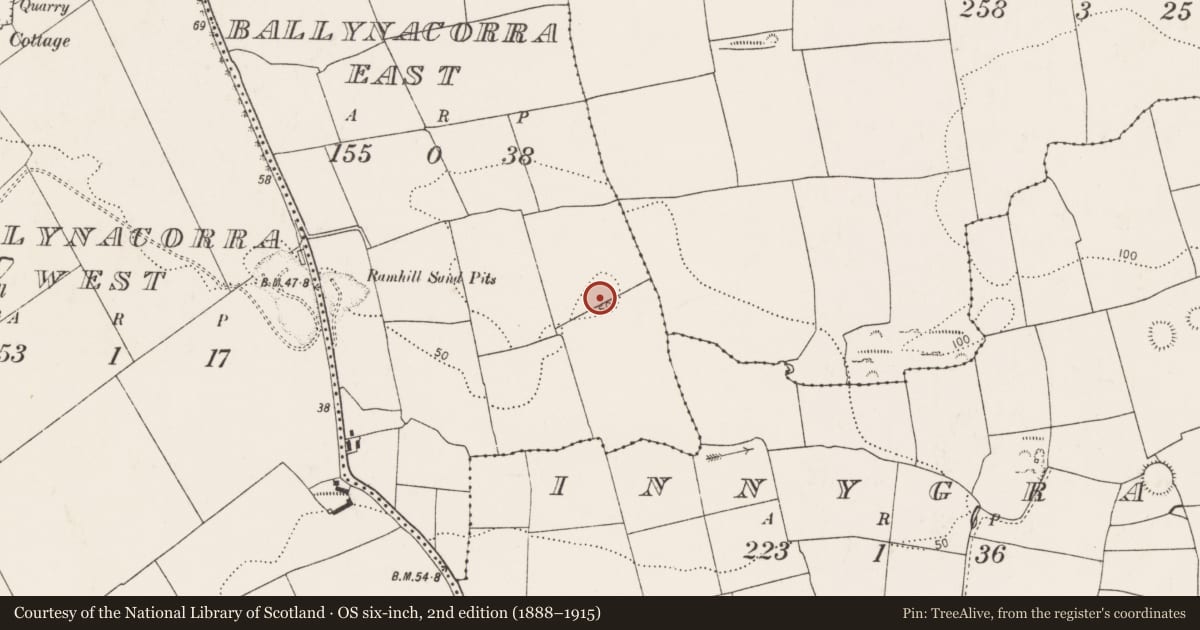 Ordnance Survey six-inch map, 2nd edition (1888–1915) covering the location of Enclosure, Ballynacorra East, County Cork, with a pin at the register's coordinates