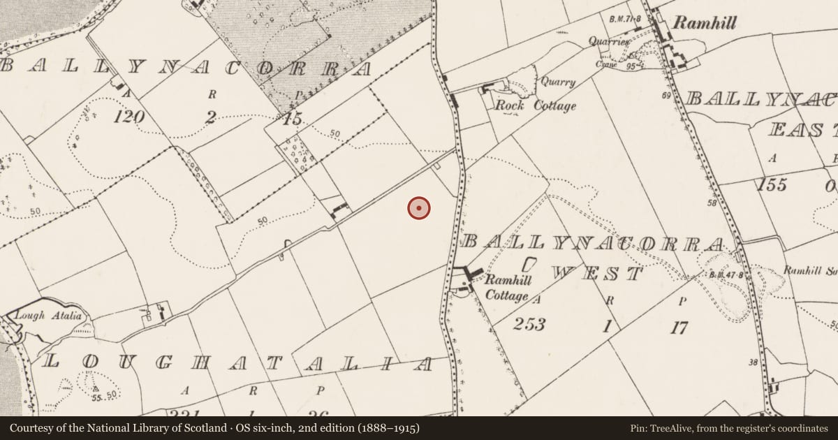 Ordnance Survey six-inch map, 2nd edition (1888–1915) covering the location of Enclosure, Loughatalia, County Cork, with a pin at the register's coordinates