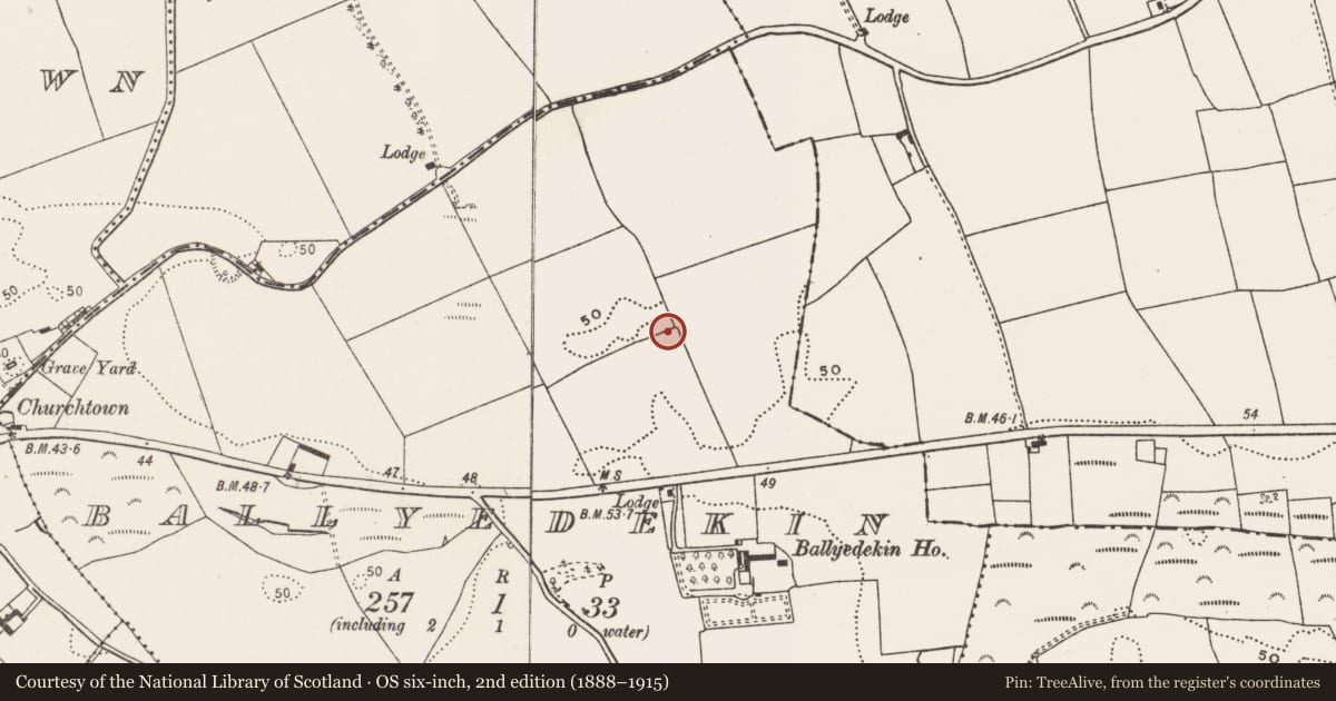 Ordnance Survey six-inch map, 2nd edition (1888–1915) covering the location of Mound, Ballyedekin, County Cork, with a pin at the register's coordinates
