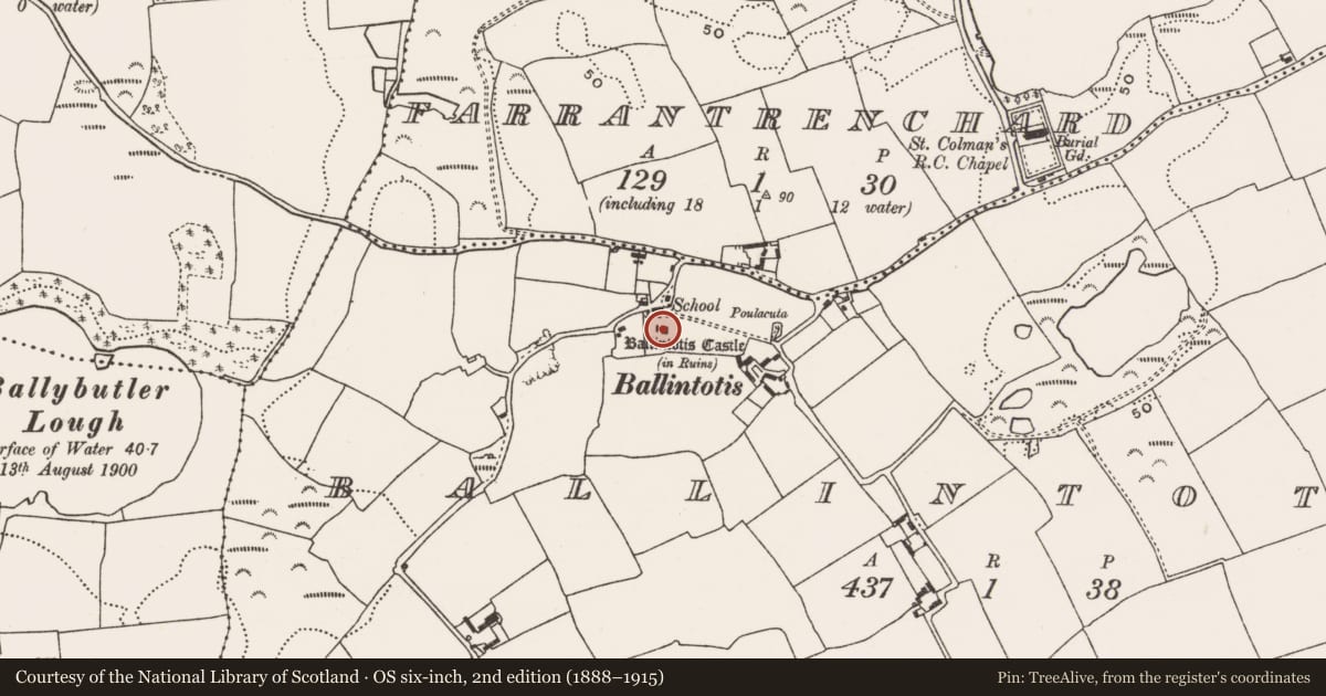 Ordnance Survey six-inch map, 2nd edition (1888–1915) covering the location of Castle - tower house, Ballintotis, County Cork, with a pin at the register's coordinates
