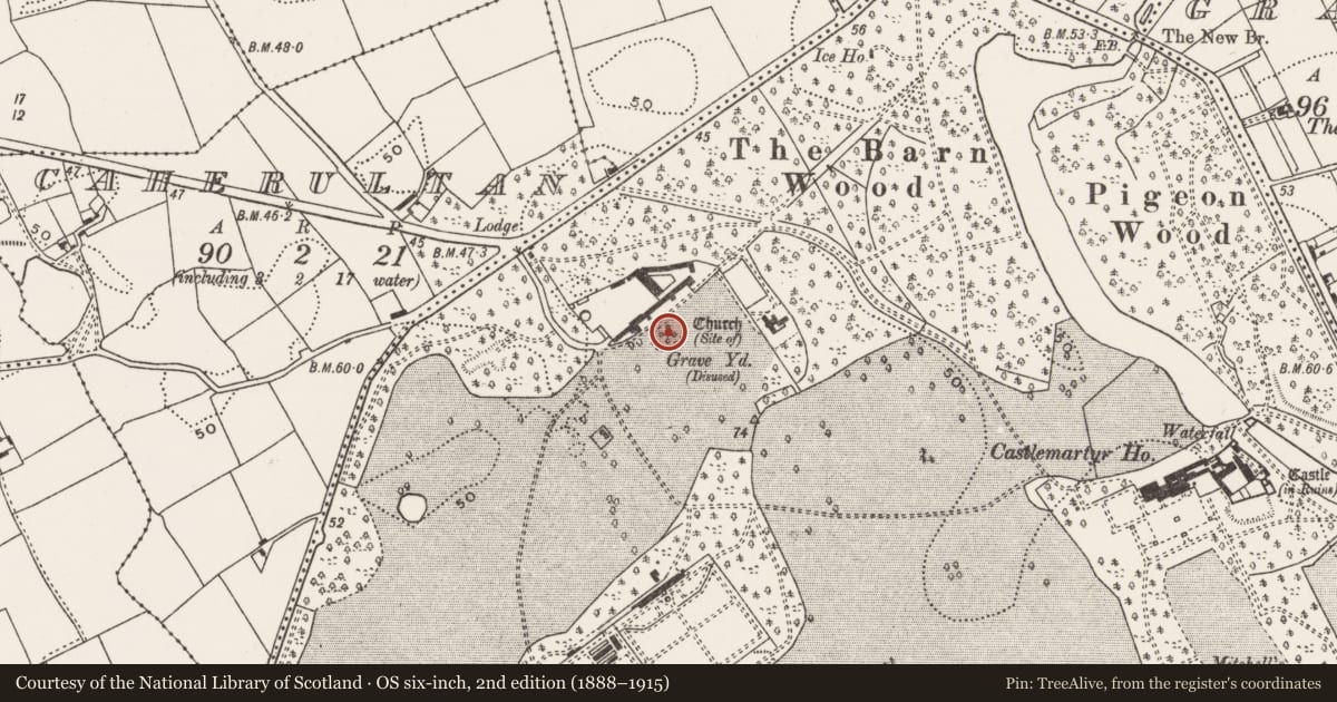 Ordnance Survey six-inch map, 2nd edition (1888–1915) covering the location of Graveyard, Castlemartyr (Imokilly By., Ballyoughtera Par.), County Cork, with a pin at the register's coordinates