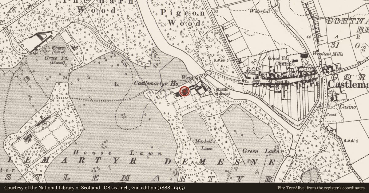 Ordnance Survey six-inch map, 2nd edition (1888–1915) covering the location of Country house, Castlemartyr (Imokilly By., Ballyoughtera Par.), County Cork, with a pin at the register's coordinates