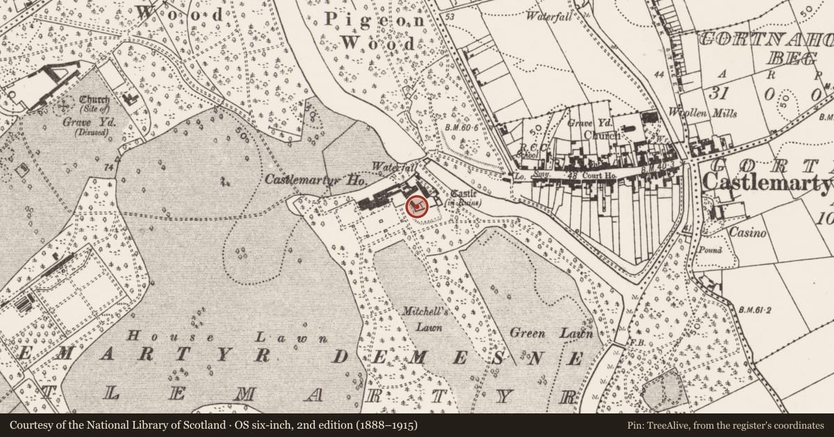 Ordnance Survey six-inch map, 2nd edition (1888–1915) covering the location of House - 16th/17th century, Castlemartyr (Imokilly By., Ballyoughtera Par.), County Cork, with a pin at the register's coordinates