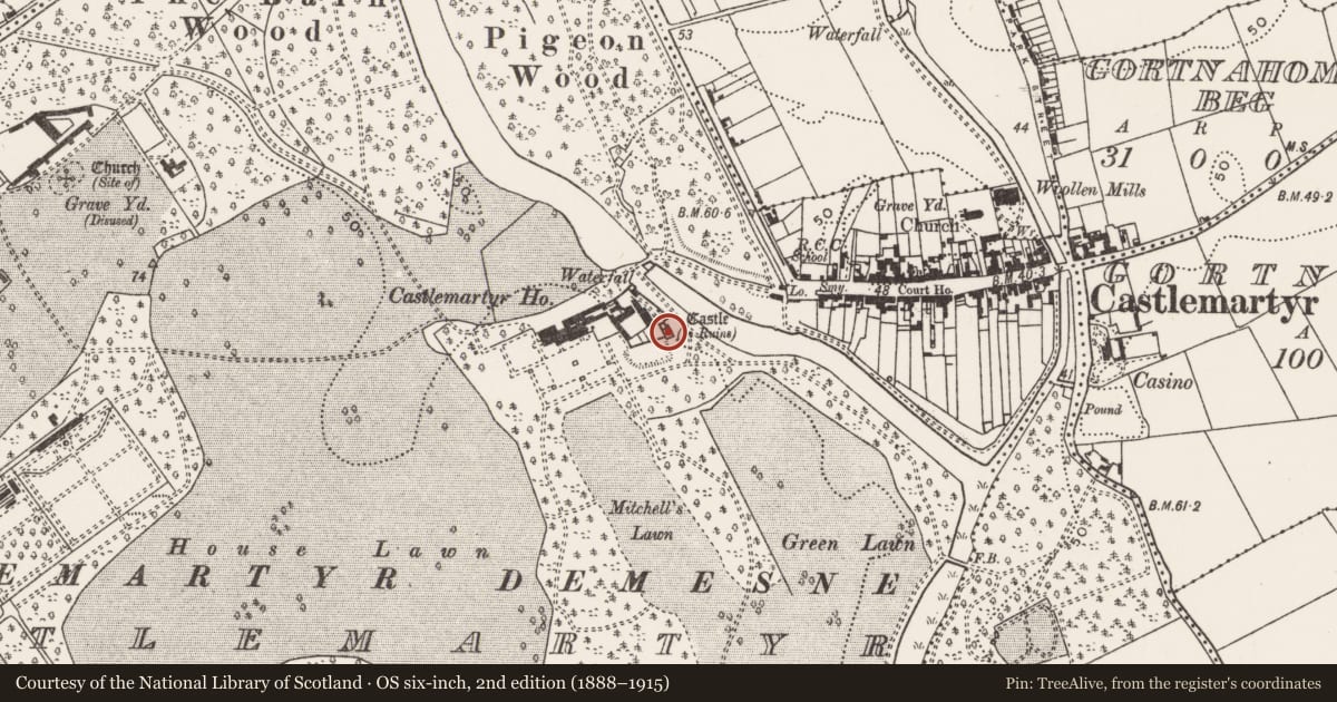 Ordnance Survey six-inch map, 2nd edition (1888–1915) covering the location of Castle - tower house, Castlemartyr (Imokilly By., Ballyoughtera Par.), County Cork, with a pin at the register's coordinates