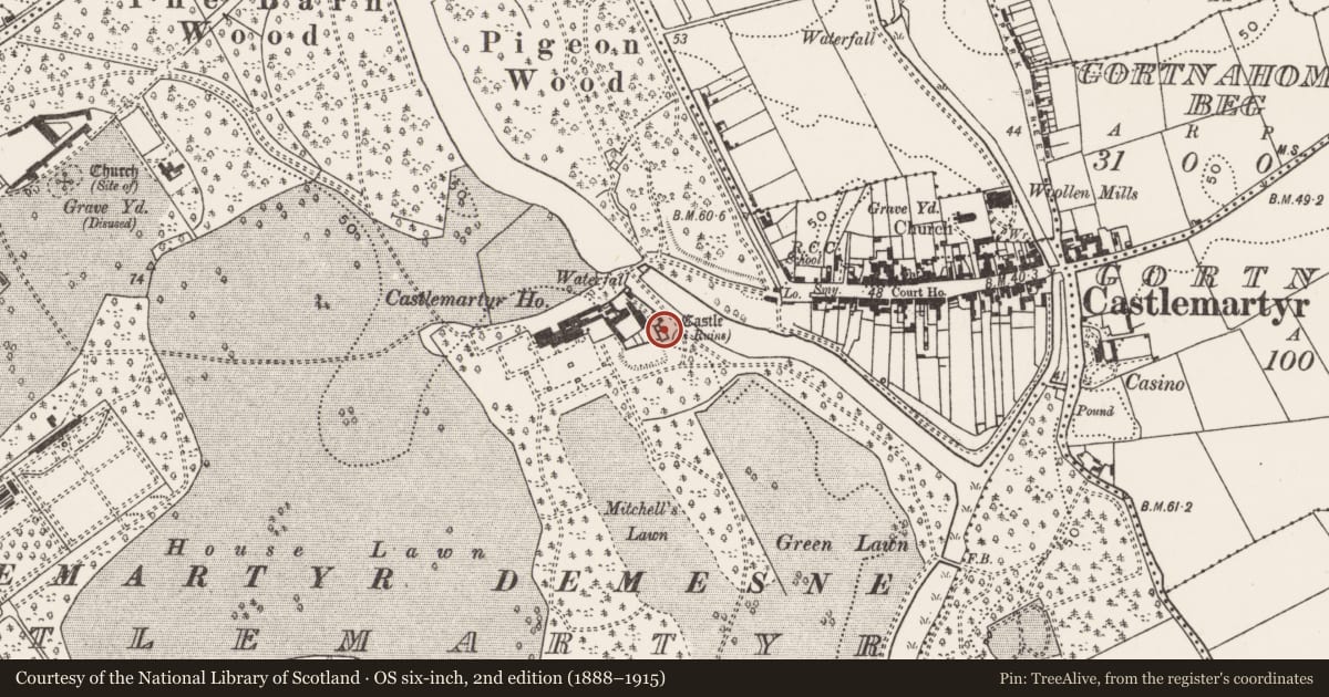 Ordnance Survey six-inch map, 2nd edition (1888–1915) covering the location of Bawn, Castlemartyr (Imokilly By., Ballyoughtera Par.), County Cork, with a pin at the register's coordinates