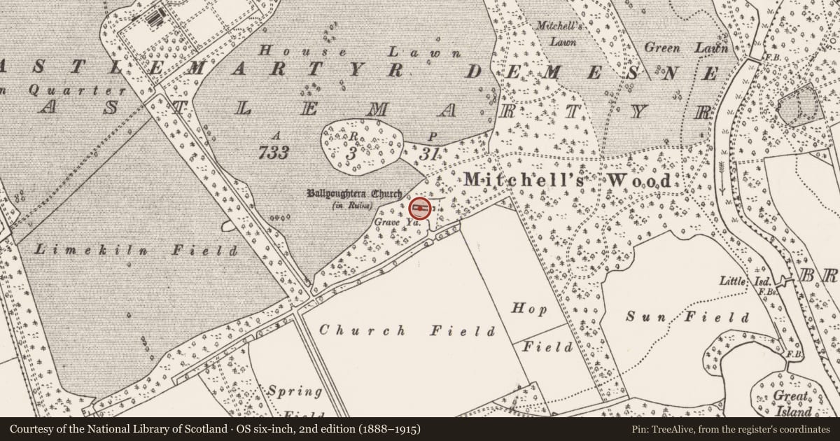 Ordnance Survey six-inch map, 2nd edition (1888–1915) covering the location of Graveyard, Castlemartyr (Imokilly By., Ballyoughtera Par.), County Cork, with a pin at the register's coordinates
