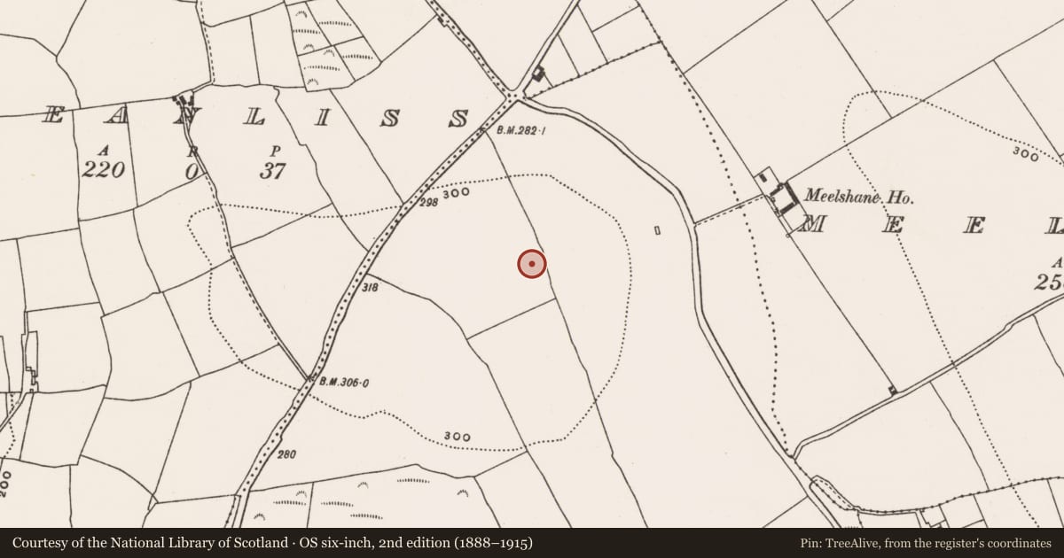 Ordnance Survey six-inch map, 2nd edition (1888–1915) covering the location of Ringfort - rath, Barnabrow, County Cork, with a pin at the register's coordinates