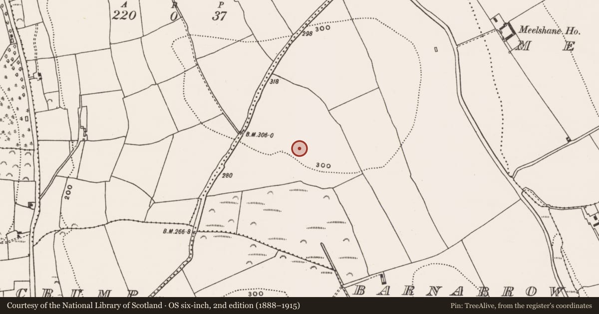Ordnance Survey six-inch map, 2nd edition (1888–1915) covering the location of Ringfort - rath, Barnabrow, County Cork, with a pin at the register's coordinates
