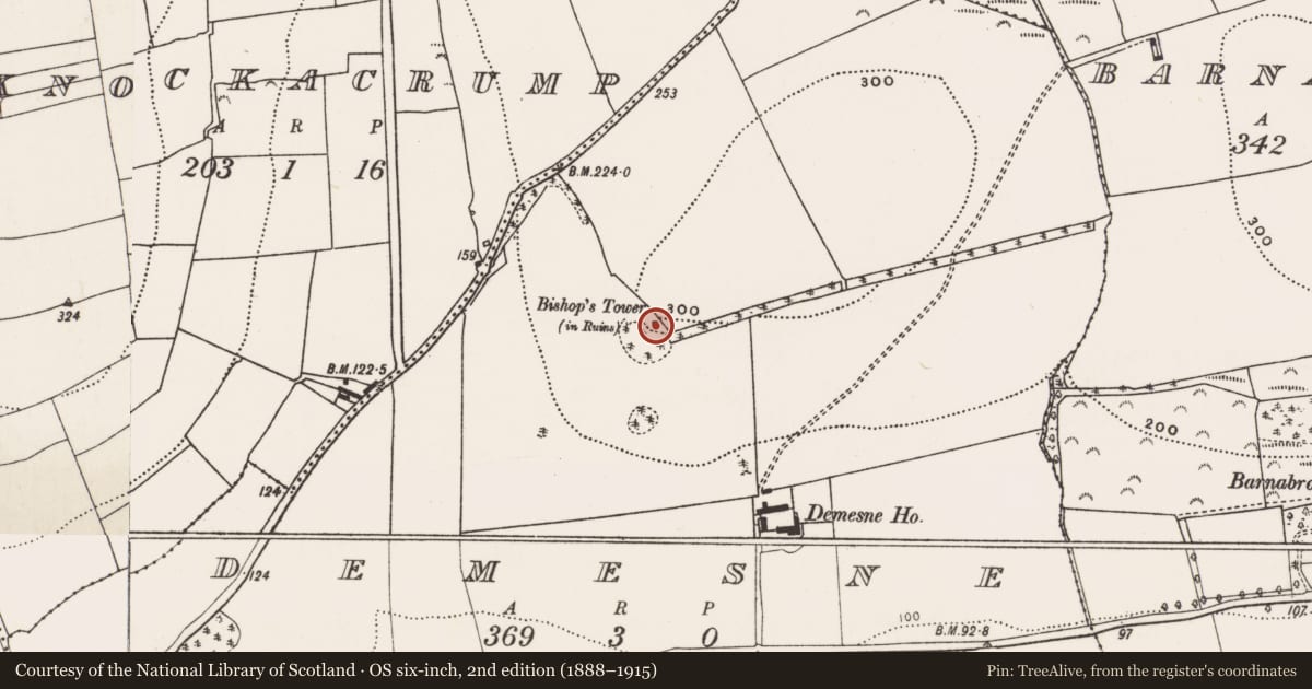 Ordnance Survey six-inch map, 2nd edition (1888–1915) covering the location of Designed landscape - belvedere, Demesne, County Cork, with a pin at the register's coordinates