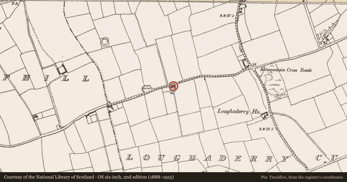 Ordnance Survey six-inch map, 2nd edition (1888–1915) covering the location of House - vernacular house, Loughaderry, County Cork, with a pin at the register's coordinates
