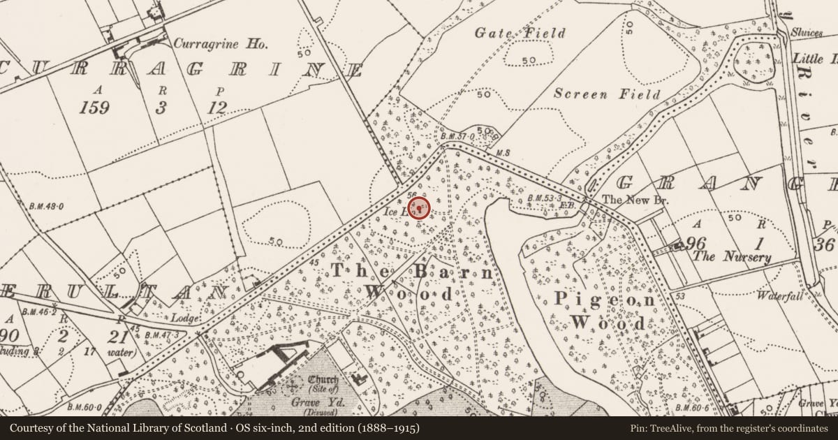 Ordnance Survey six-inch map, 2nd edition (1888–1915) covering the location of Icehouse, Castlemartyr (Imokilly By., Ballyoughtera Par.), County Cork, with a pin at the register's coordinates