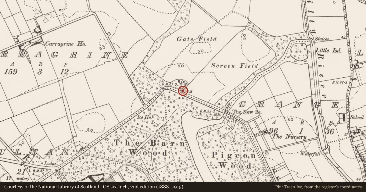 Ordnance Survey six-inch map, 2nd edition (1888–1915) covering the location of Milestone, Killamucky, County Cork, with a pin at the register's coordinates