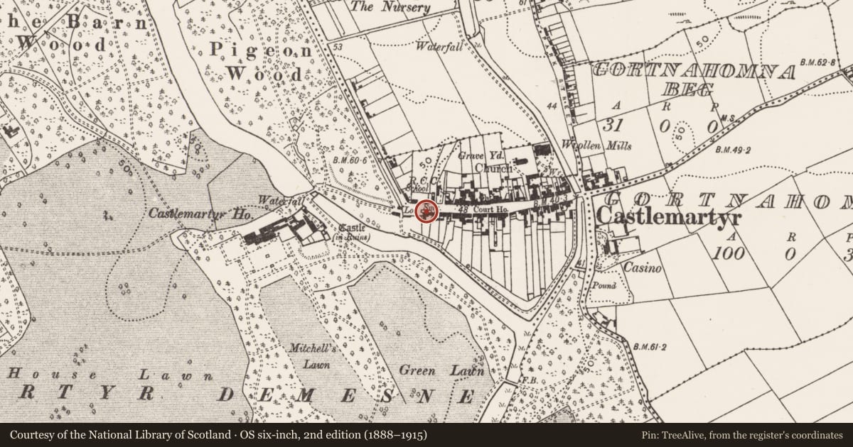Ordnance Survey six-inch map, 2nd edition (1888–1915) covering the location of House - 18th/19th century, Castlemartyr (Imokilly By., Mogeely Par.), County Cork, with a pin at the register's coordinates