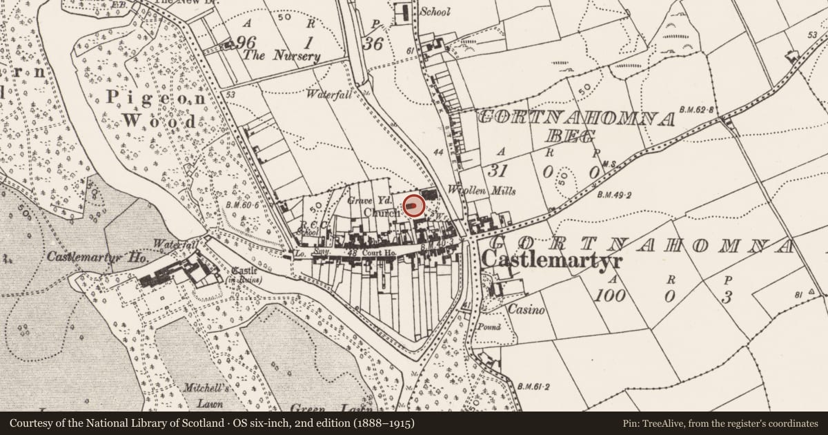Ordnance Survey six-inch map, 2nd edition (1888–1915) covering the location of Church, Castlemartyr (Imokilly By., Mogeely Par.), County Cork, with a pin at the register's coordinates