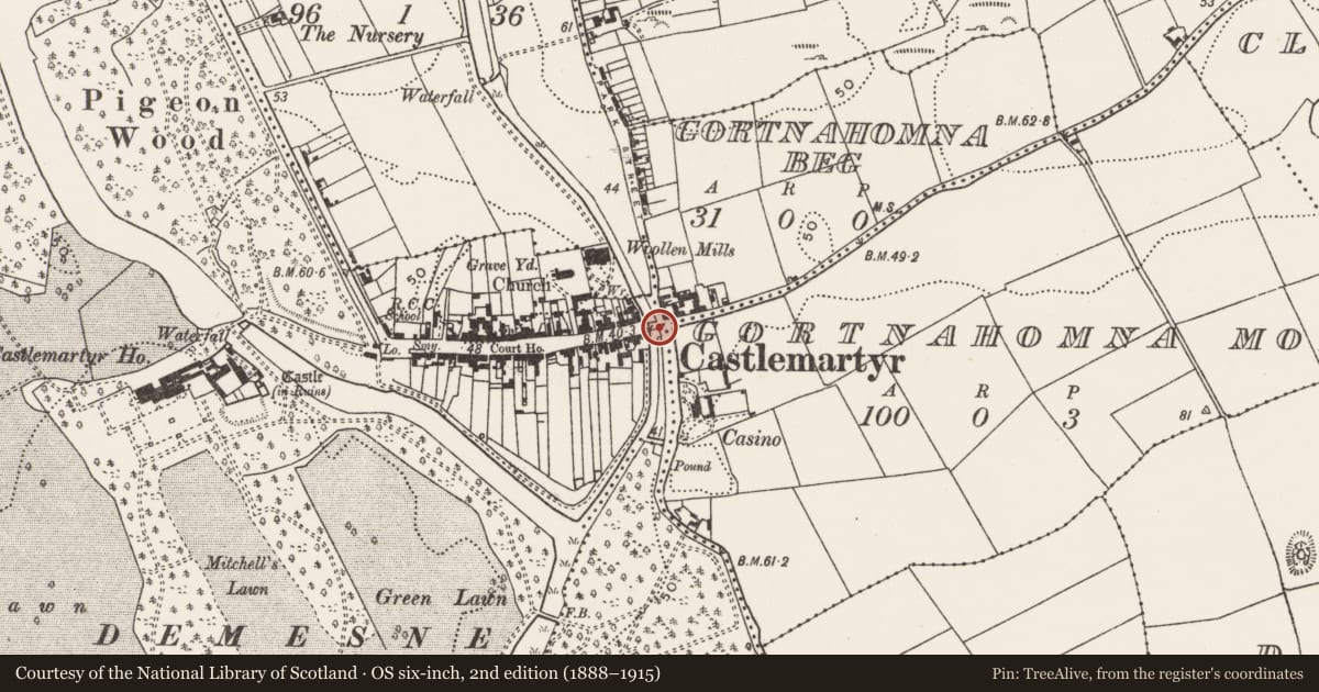 Ordnance Survey six-inch map, 2nd edition (1888–1915) covering the location of Bridge, Castlemartyr (Imokilly By., Mogeely Par.), County Cork, with a pin at the register's coordinates