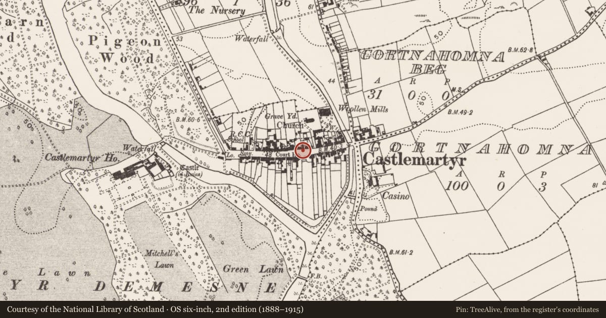 Ordnance Survey six-inch map, 2nd edition (1888–1915) covering the location of Historic town, Castlemartyr (Imokilly By., Mogeely Par.), County Cork, with a pin at the register's coordinates
