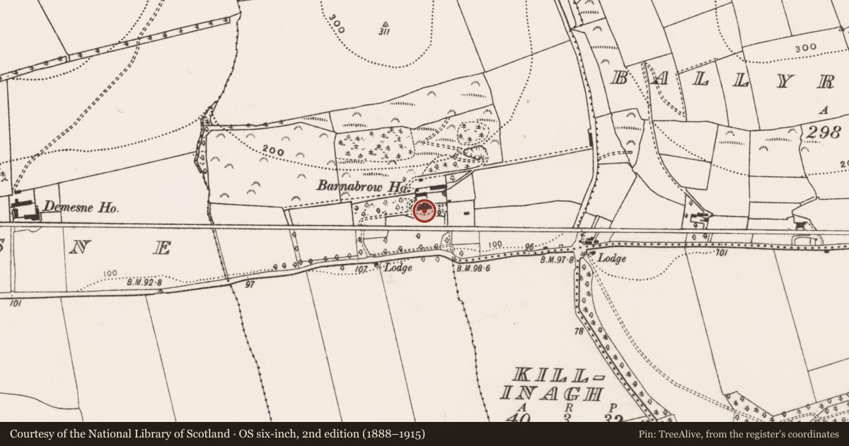 Ordnance Survey six-inch map, 2nd edition (1888–1915) covering the location of Country house, Barnabrow, County Cork, with a pin at the register's coordinates
