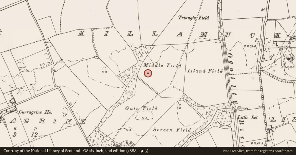 Ordnance Survey six-inch map, 2nd edition (1888–1915) covering the location of Burnt spread, Killamucky, County Cork, with a pin at the register's coordinates
