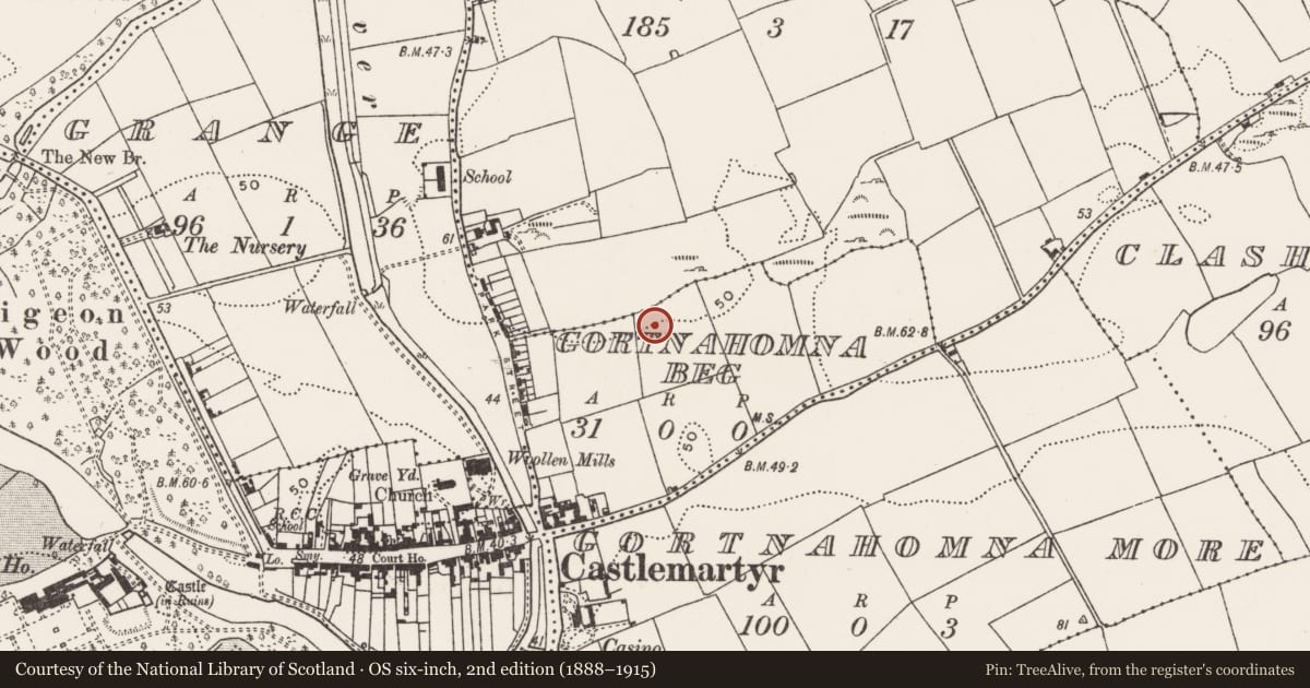 Ordnance Survey six-inch map, 2nd edition (1888–1915) covering the location of Kiln - corn-drying, Gortnahomna Beg, County Cork, with a pin at the register's coordinates