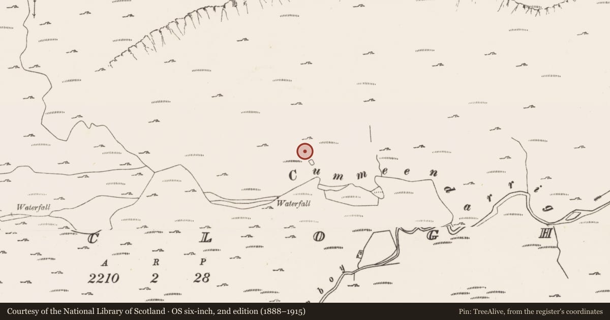 Ordnance Survey six-inch map, 2nd edition (1888–1915) covering the location of Enclosure, Derryclogher, County Cork, with a pin at the register's coordinates
