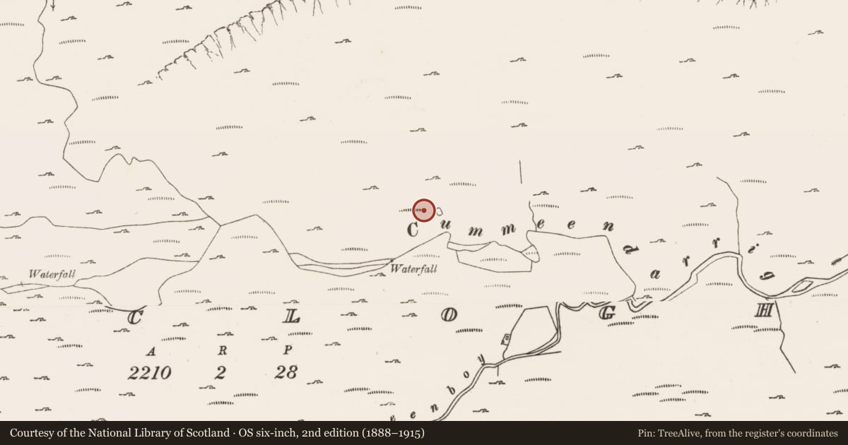 Ordnance Survey six-inch map, 2nd edition (1888–1915) covering the location of Field boundary, Derryclogher, County Cork, with a pin at the register's coordinates