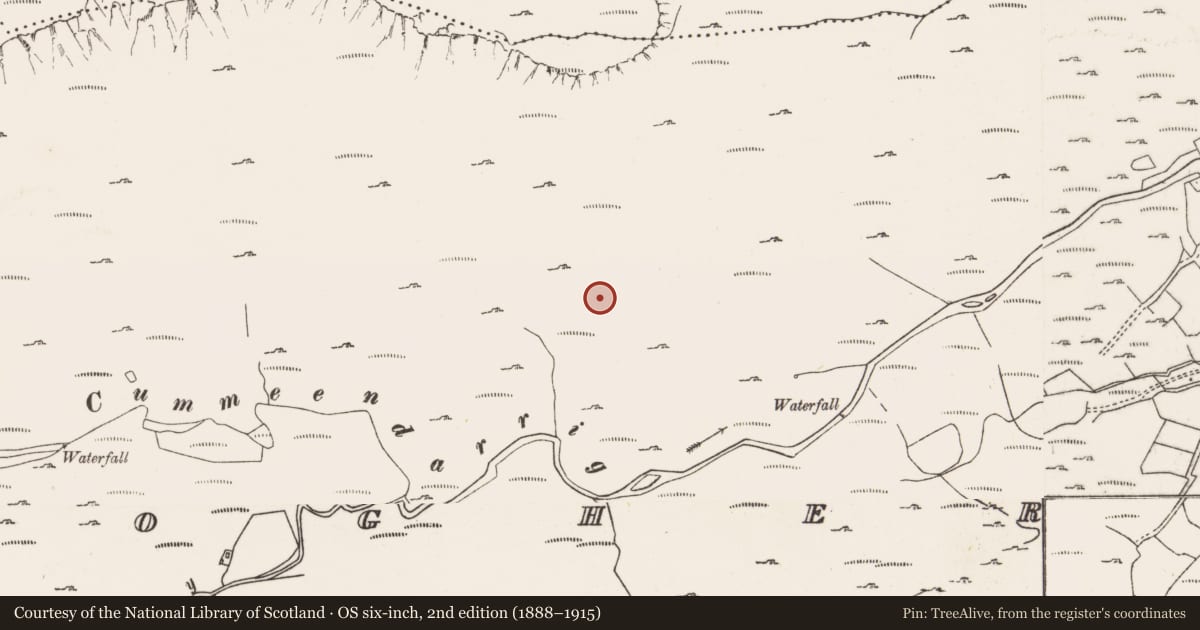 Ordnance Survey six-inch map, 2nd edition (1888–1915) covering the location of Enclosure, Derryclogher, County Cork, with a pin at the register's coordinates