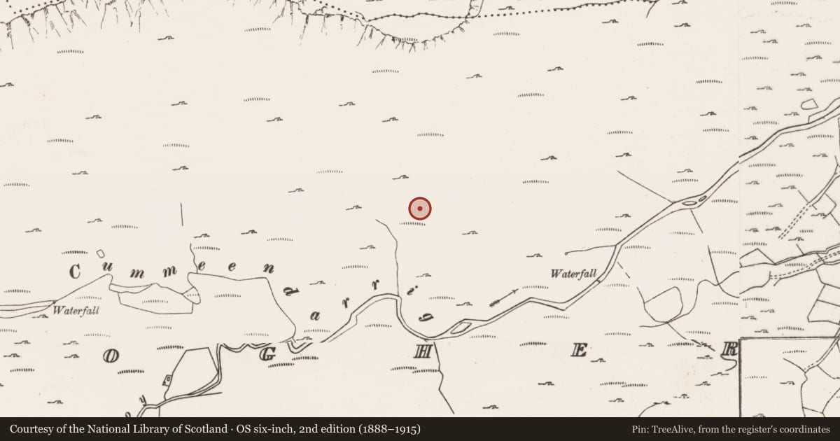 Ordnance Survey six-inch map, 2nd edition (1888–1915) covering the location of Field boundary, Derryclogher, County Cork, with a pin at the register's coordinates
