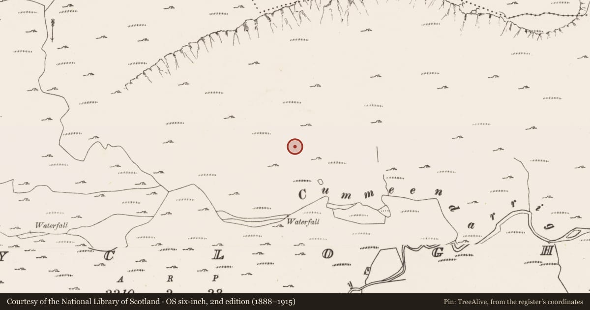 Ordnance Survey six-inch map, 2nd edition (1888–1915) covering the location of Hut site, Derryclogher, County Cork, with a pin at the register's coordinates