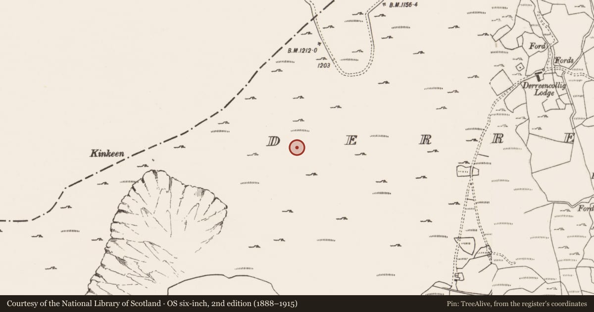 Ordnance Survey six-inch map, 2nd edition (1888–1915) covering the location of Hut site, Derreencollig, County Cork, with a pin at the register's coordinates