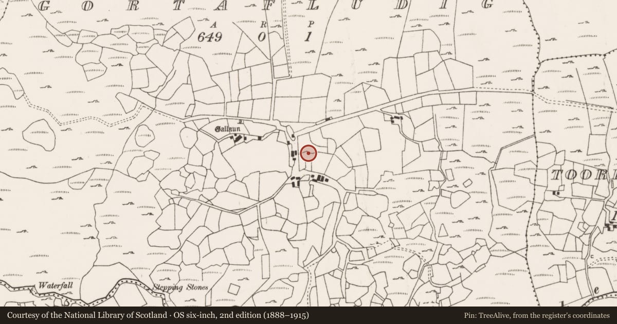Ordnance Survey six-inch map, 2nd edition (1888–1915) covering the location of Megalithic tomb - wedge tomb, Gort An Phludaigh, County Cork, with a pin at the register's coordinates