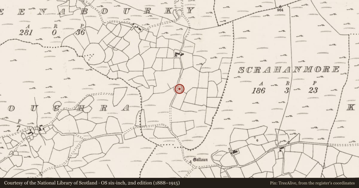 Ordnance Survey six-inch map, 2nd edition (1888–1915) covering the location of Ringfort - rath, Doire Na Buairce, County Cork, with a pin at the register's coordinates
