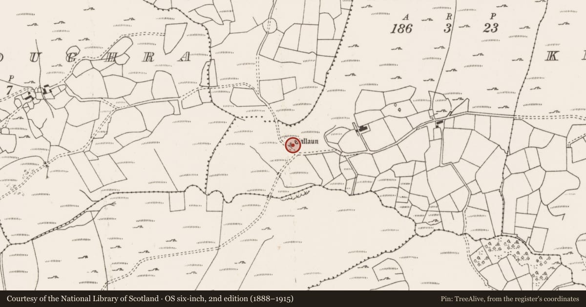 Ordnance Survey six-inch map, 2nd edition (1888–1915) covering the location of Standing stone, An Screathan Mór, County Cork, with a pin at the register's coordinates