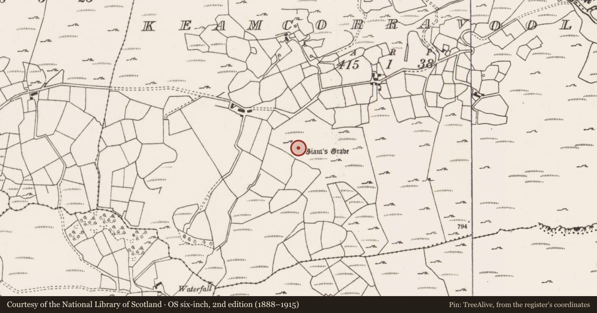 Ordnance Survey six-inch map, 2nd edition (1888–1915) covering the location of Megalithic tomb - wedge tomb, Céim Chorrbhuaile, County Cork, with a pin at the register's coordinates