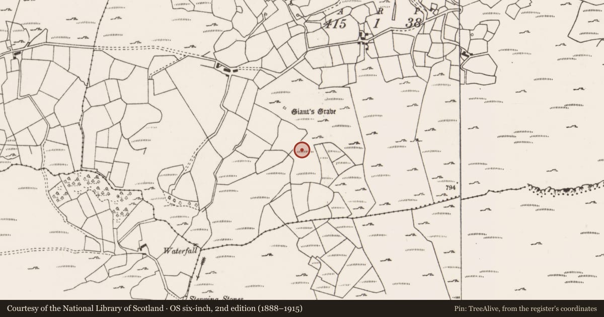 Ordnance Survey six-inch map, 2nd edition (1888–1915) covering the location of Megalithic tomb - wedge tomb, Céim Chorrbhuaile, County Cork, with a pin at the register's coordinates