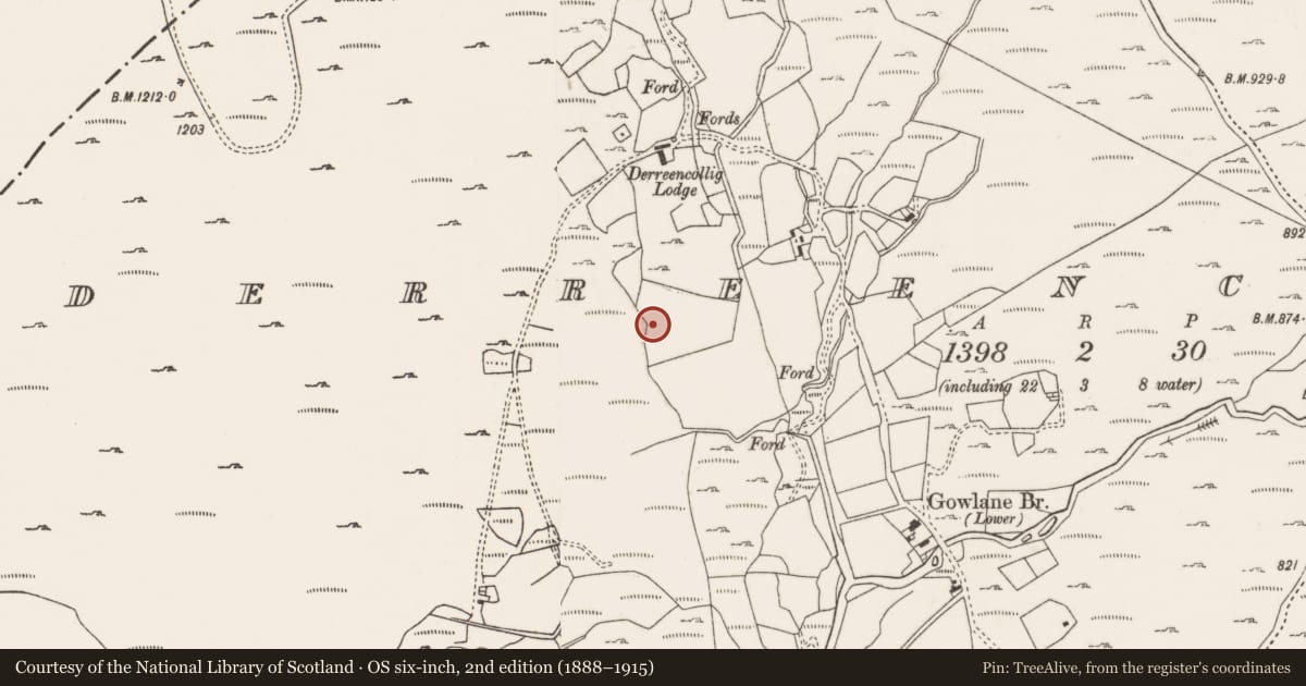 Ordnance Survey six-inch map, 2nd edition (1888–1915) covering the location of Fulacht fia, Derreencollig, County Cork, with a pin at the register's coordinates