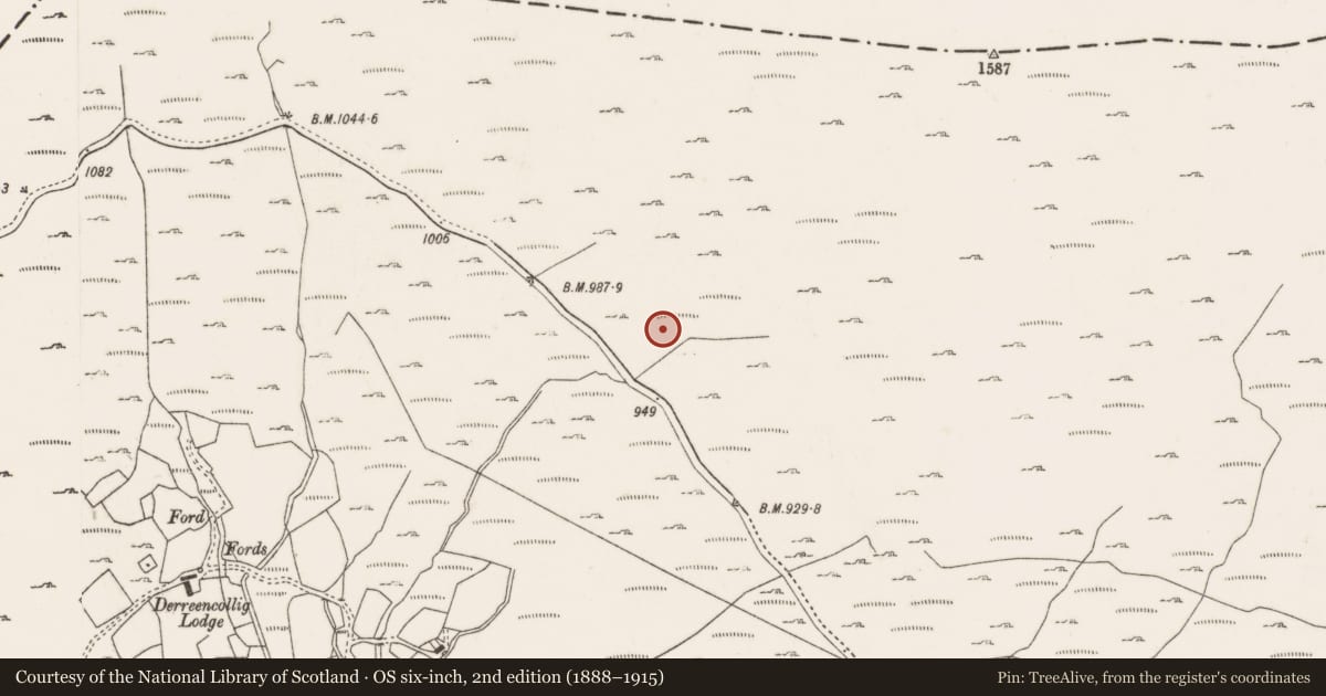 Ordnance Survey six-inch map, 2nd edition (1888–1915) covering the location of Standing stone, Derreencollig, County Cork, with a pin at the register's coordinates