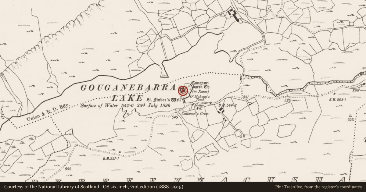 Ordnance Survey six-inch map, 2nd edition (1888–1915) covering the location of Hermitage, Doire Na Coise, County Cork, with a pin at the register's coordinates