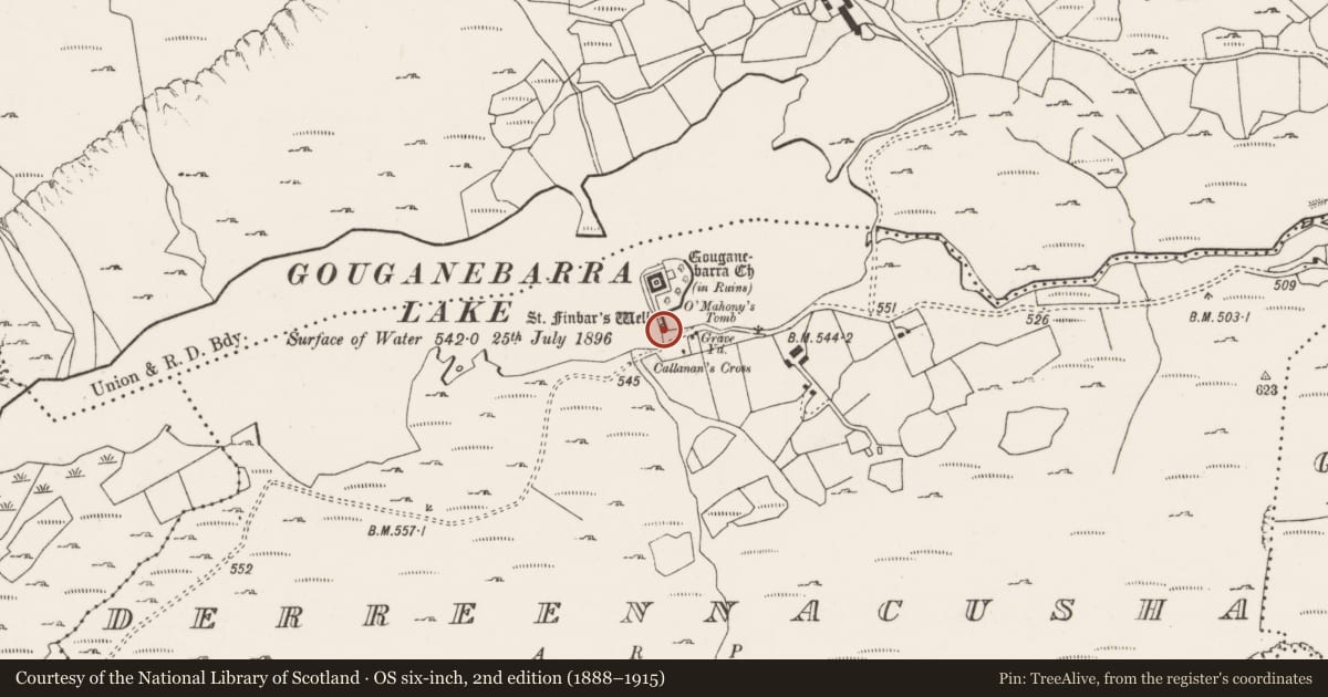 Ordnance Survey six-inch map, 2nd edition (1888–1915) covering the location of Ritual site - holy well, Doire Na Coise, County Cork, with a pin at the register's coordinates