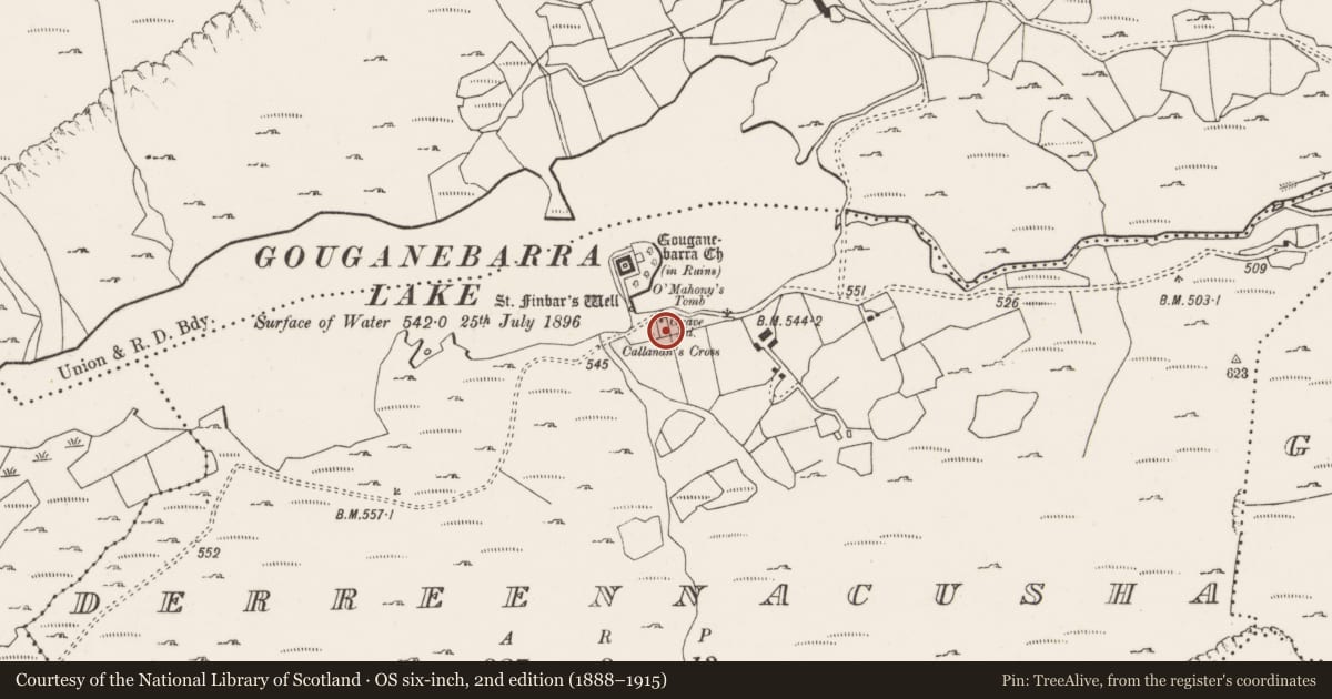 Ordnance Survey six-inch map, 2nd edition (1888–1915) covering the location of Graveyard, Doire Na Coise, County Cork, with a pin at the register's coordinates